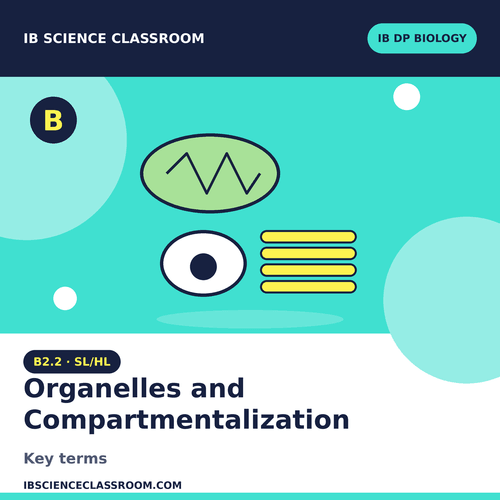 B2.2 BIOLOGY SL/HL ORGANELLEScAND COMPARTMENTALIZATION KEYWORDS