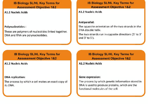 A1.2 BIOLOGY SL/HL NUCLEIC ACID- KEY TERMS