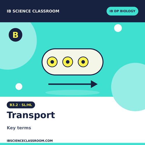B3.2 DP BIOLOGY SL/HL TRANSPORT KEYTERMS