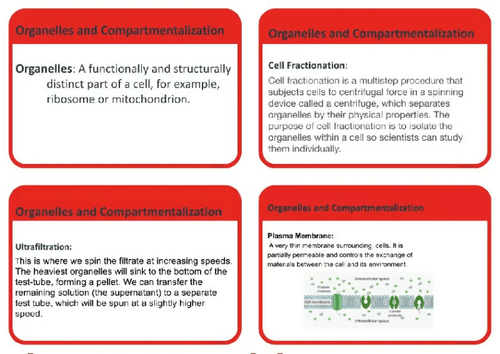 B2.2 BIOLOGY SL/HL ORGANELLEScAND COMPARTMENTALIZATION KEYWORDS