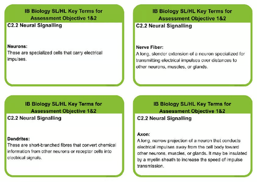 C2.2 DP BIOLOGY SL/HL NEURAL SIGNALLING KEY TERMS