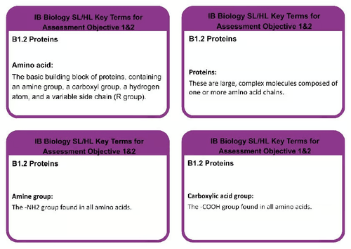 B1.2 SL/HL BIOLOGY PROTEINS KEYWORDS
