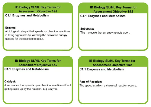 C1.1 SL/HL BIOLOGY ENZYMES AND METABOLISM KEYTERMS