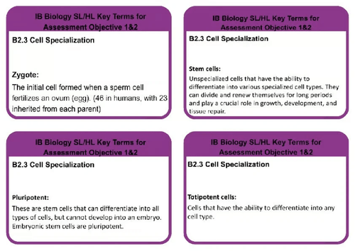 B2.3 BIOLOGY SL/HL CELL SPECIALIZATION KEYWORDS