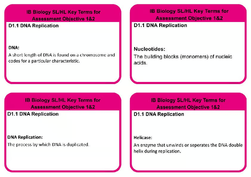 D1.1 SL/HL BIOLOGY DNA REPLICATION KEYTERMS