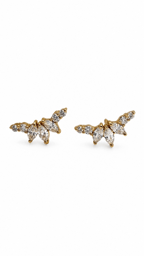 Climbers Brisa Marquise