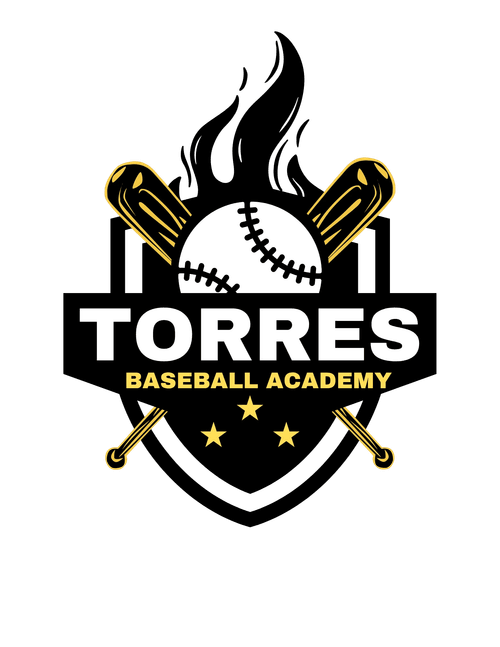 Torres Baseball Academy Training