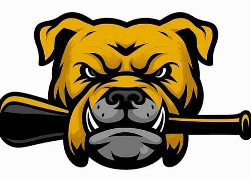 Park City Bulldogs (Spring/Summer) Travel Baseball