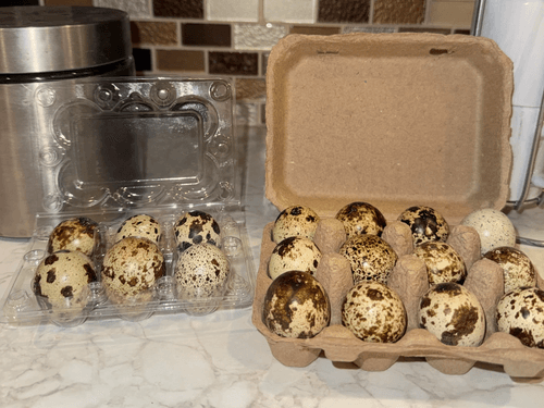 Fresh Quail Eggs