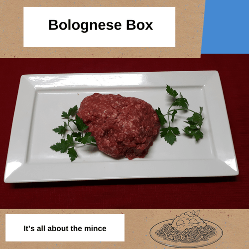 Bolognese Box