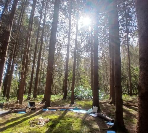 23/5/26 10am Nature Connection - Forest Bathing Experience  