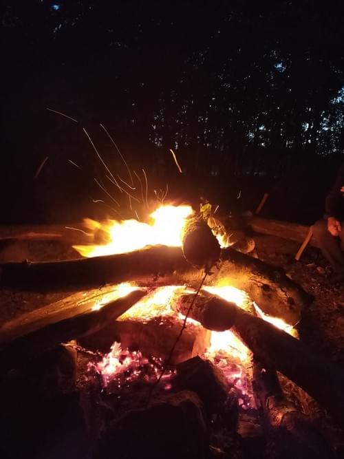 21/6/26 6pm Summer Solstice Forest Bathing Experience