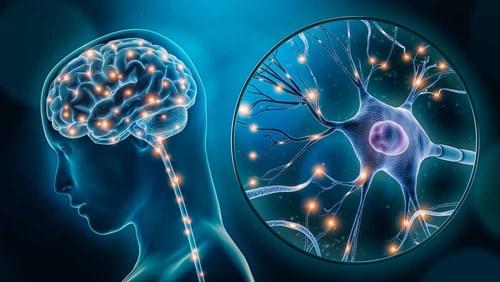 NEUROLOGIE