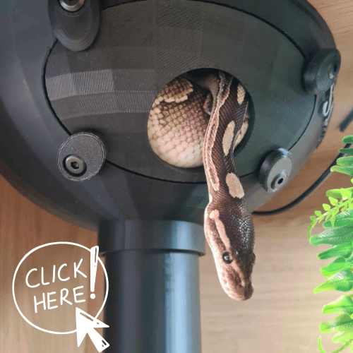 Door Entrance Stem Hide