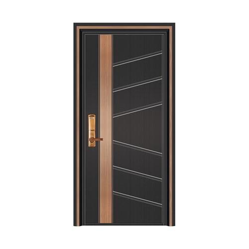 OEM Modern Style Stainless Steel Security Front Entry Door