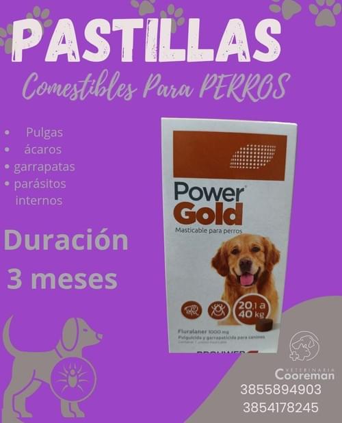 Pastillas comestibles para perros contra pulgas y garrapatas.