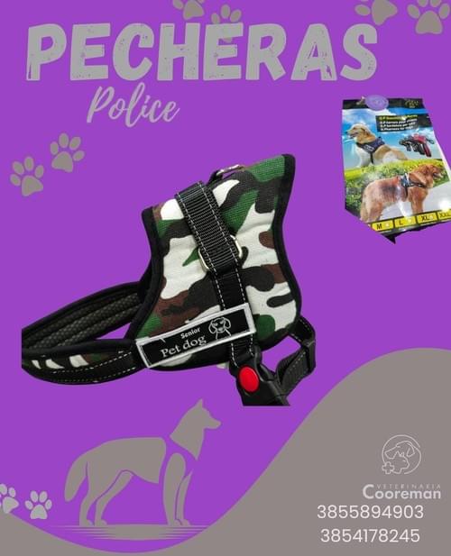 Pechera reforzada