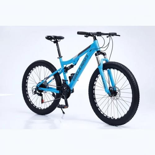 mountain bike