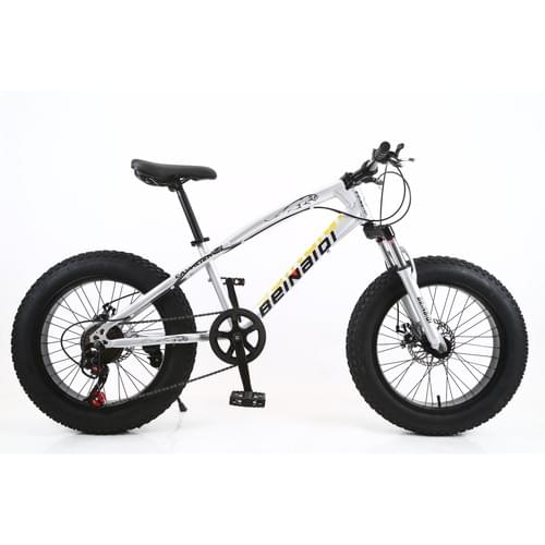 Snow bike