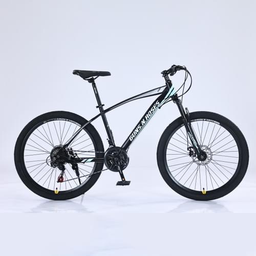 mountain bike