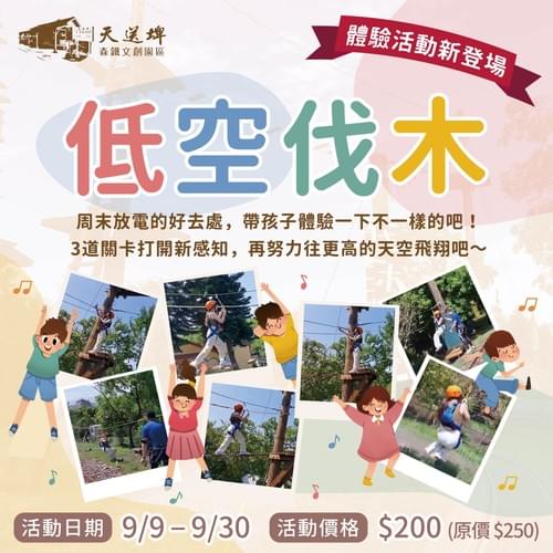 伐木星空(低空)$350