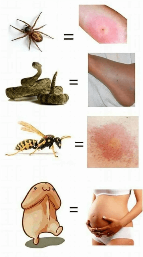 0.3 0.5 1s 均可以私訊我們洽談哦 🈺