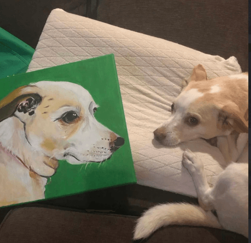 September 13 : Fermentation House Paint Your Pet Party