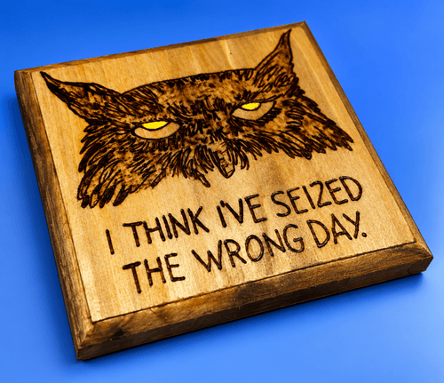 Seized the Wrong Day