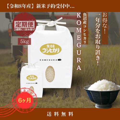 【新米】魚沼産コシヒカリ 令和8年産【定期便】毎月10kg(精米)/6ヶ月 2週間に1回(全12回)・5kg/回