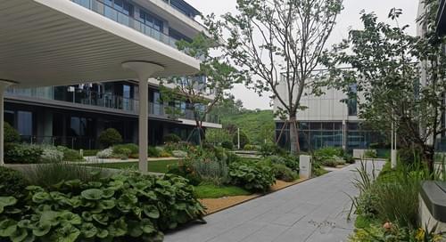 Light gray walkways lined with blooming flowers: A real-record of tranquil elegant low-density conte