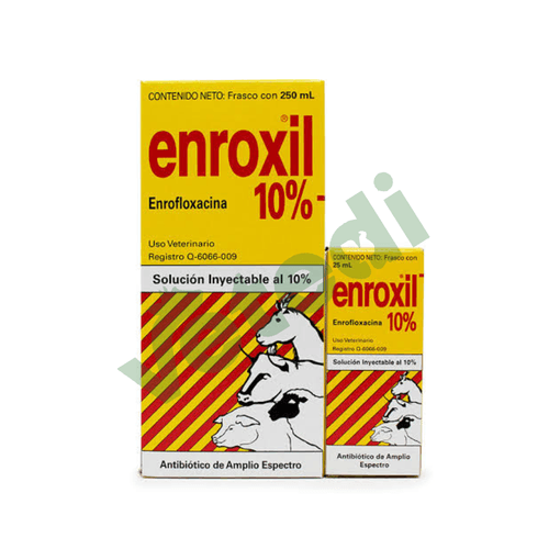 Enroxil 10%