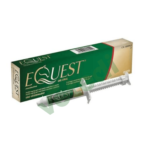 Equest