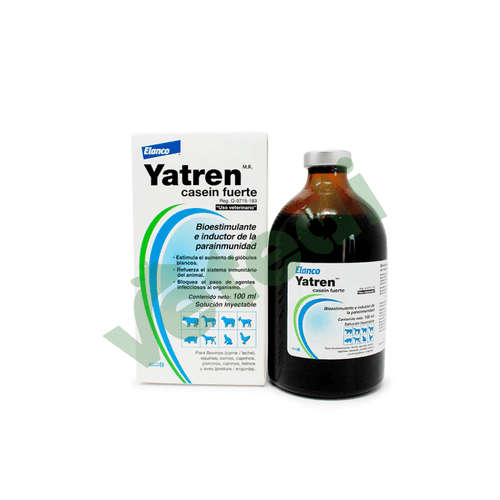 Yatern