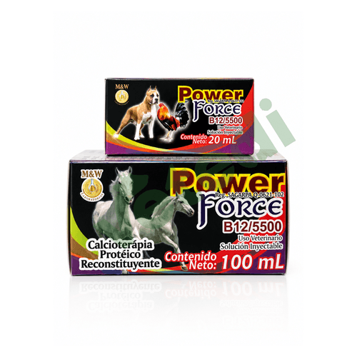Power Force
