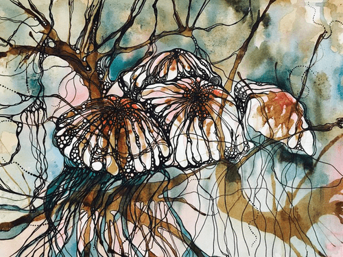 Jellyfish Fine Art Print