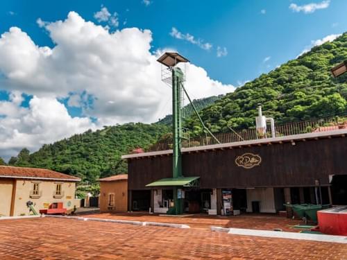 Guatemala Filadelfia Fully Washed【Light Roast】