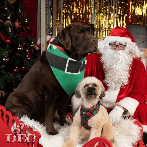 6/12 - 🐾🎅 Santa Paws Photos 🎅🐾