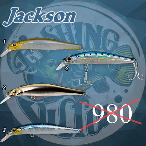 Jackson Artist 95 HW