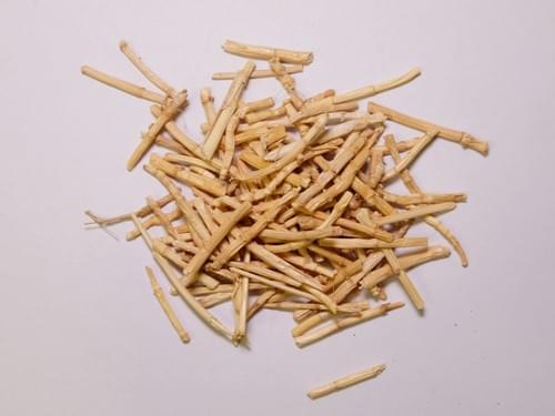 Imperatae Rhizome