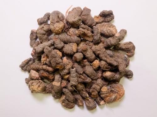 Bistortae Rhizoma