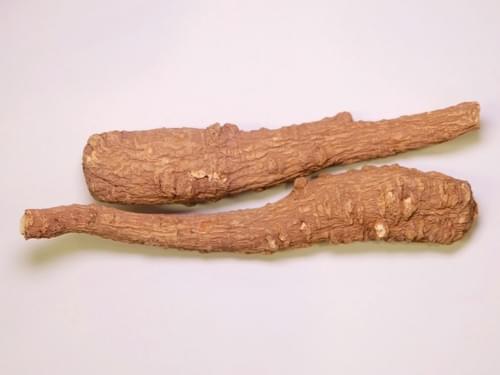 Dahurian Angelica Root