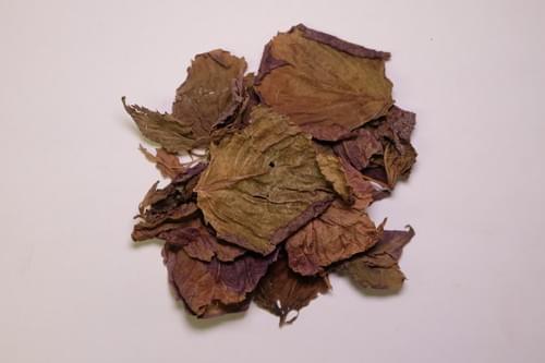 Perilla Leaf