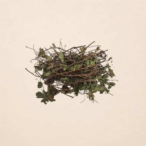 Geranium Herb