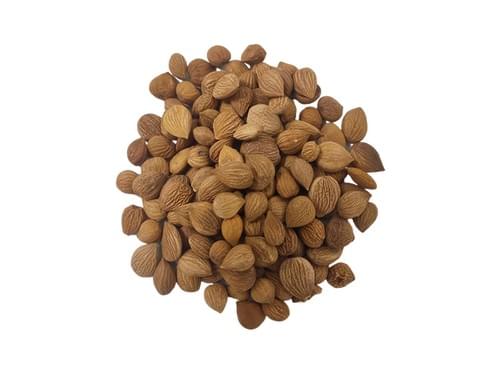Peach Kernel
