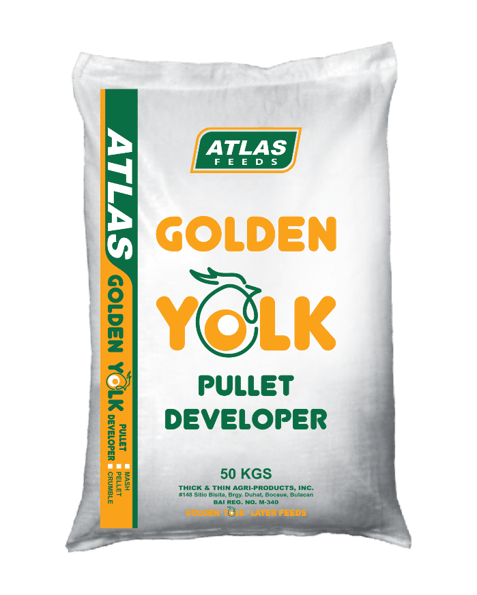Golden Yolk Pullet Developer