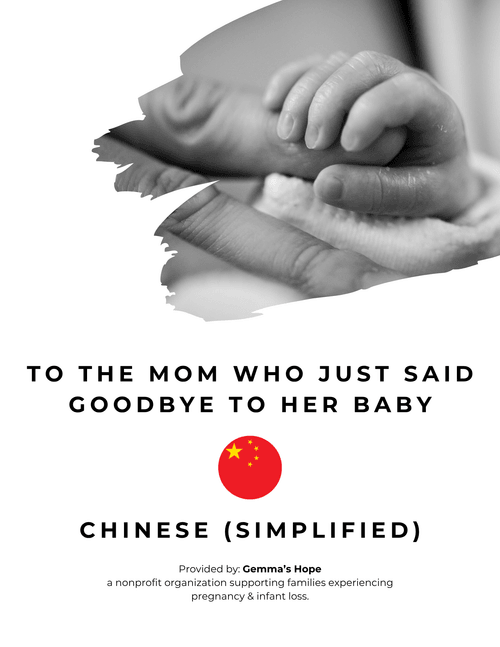 CHINESE SIMPLE Bereavement Resources + Support for Families | Digital Download, Ready to Print