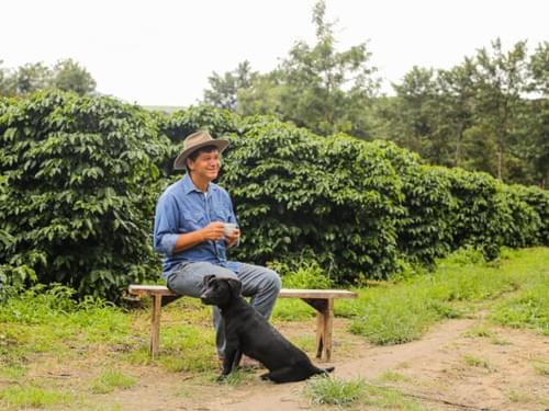 BRAZIL Passagem de Pedra Catucai2SL Pulped Natural 【Medium Roast】