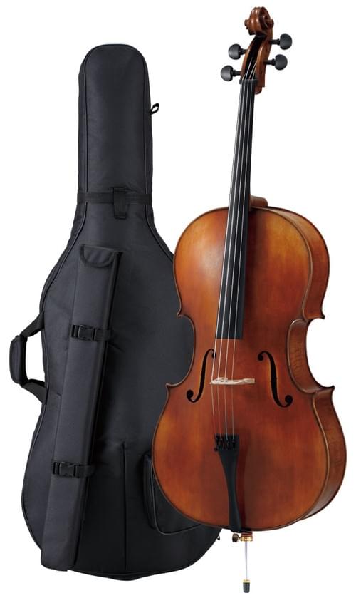 Cello, Nicolo Santi NSC190 set