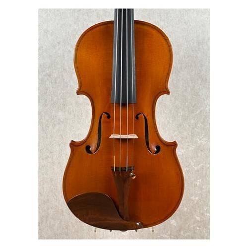 Violin, Bruno Tondo, Udine 1986