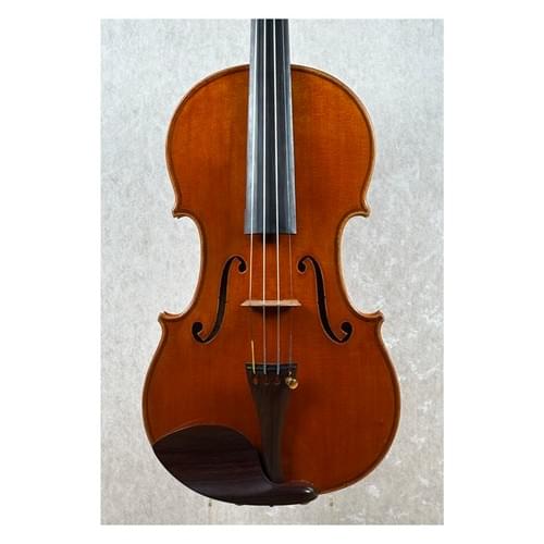 Violin, Pietro Remo Sgavetta, Fidenza(Parma) 1984